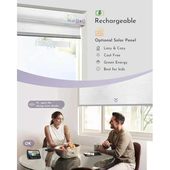 Motorized Roller Shades 100% Blackout Free Stop Window Shades Cordless Wireless Remote Control Window Roller Blinds with Valance for Smart Home and Office, Customized Size, Jacquard White