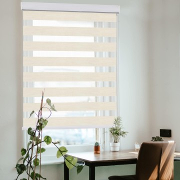 Zebra Blinds for Windows, Dual Layer Roller Sheer Shades Blinds for Day and Night, Light Control Window Treatments Shades with Valance Cover, 28" W x 72" L, Striped Beige