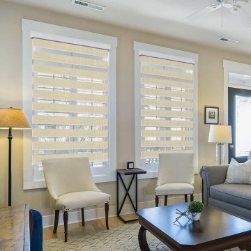 Zebra Blinds for Windows, Dual Layer Roller Sheer Shades Blinds for Day and Night, Light Control Window Treatments Shades with Valance Cover, 28" W x 72" L, Striped Beige