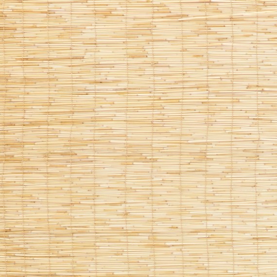Backyard X-Scapes Light-Filtering Cord-Free Bamboo Reed Roll-Up Blind Shades for Windows Manual Roman Blinds Natural 60 in W x 72 in H