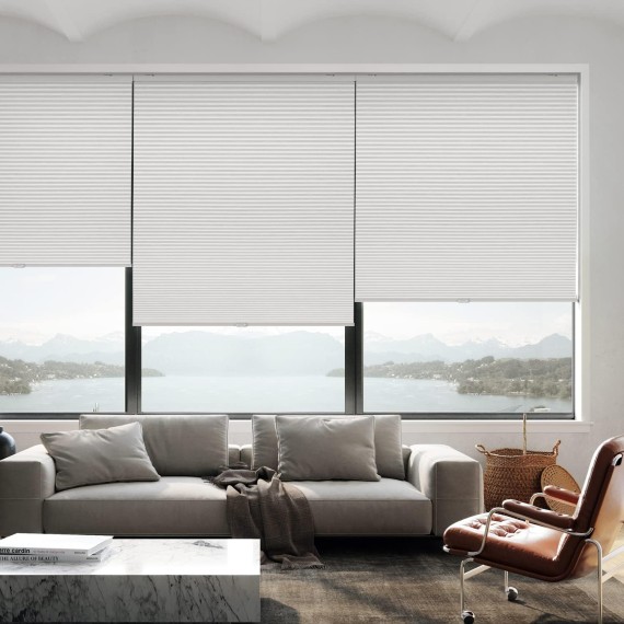 Cordless Cellular Shades, Blackout Privacy Light Blocking Honeycomb Shade Pleated Polyester Blinds for Windows Size 20'' W x 64'' H, White