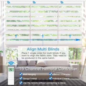 Motorized Zebra Shades with Remote Control, Electric Dual Layer Sheer Roller Blind Work with Alexa via Hub, Smart Day and Night Horizontal Blinds for Windows, Customized Size (Texture White)