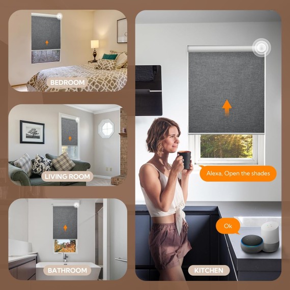 Motorized Blinds with Remote, Smart Blinds for Window, Blackout Roller Shades, Cordless Custom Automatic Shades, Electric Blinds Compatible with Alexa & Google Assistant, Gray