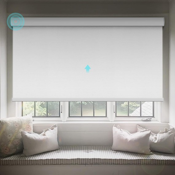 Motorized Blinds with Remote: Canisteo Battery Powered Control Electric Smart Roller Blinds Shades with Remote for Windows Cordless 100% Blackout, White