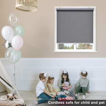 Blackout Roller Shades Blinds Cordless for Windows Pull Down Room Darkening Door Blinds with Thermal Insulated Easy to Install for Living Room,Bedroom,Home,Office Bathroom Grey