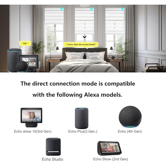 Motorized Zebra Smart Blinds Remote Control, Blackout Custom Zebra Roller Shades for Indoor Windows Doors, Electric Automatic Work with Alexa, Google Home, Apple Homekit, SmartThings,White