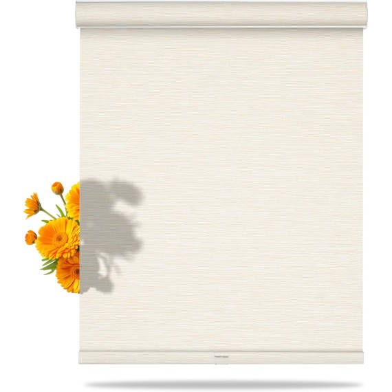 Light Filtering Roller Shades for Windows with Cassette Valance Cordless, Jacquard Fabric Sheer Roller Blinds, Thermal Insulation for Door,Home Office,Easy to Install,Beige