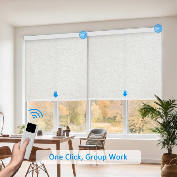 Motorized Roller Shades for Windows with Remote Control,Coolwinds Cordless Automatic Electric Blinds for Indoor Home, Office,Smart Curtain Compatible with Alexa,Google