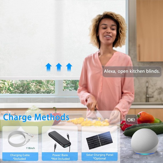 Motorized Roller Shades for Windows with Remote Control,Coolwinds Cordless Automatic Electric Blinds for Indoor Window,Smart Curtain Compatible with Alexa,Google Home