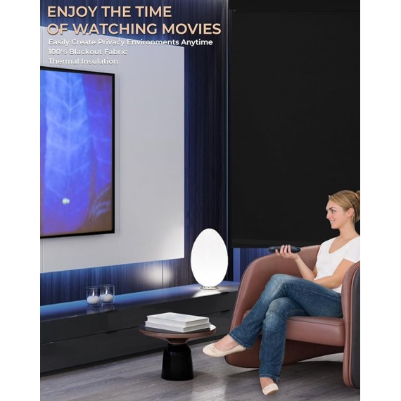 AIVIDIG Motorized Roller Shade with Remote Control, 100% Blackout Electric Blinds for Windows with Alexa Google Home via Hub, Rechargeable Smart Automatic Customized Size（Dule Side-Black）